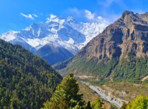 Picsart_26-03-24_21-27-54-333