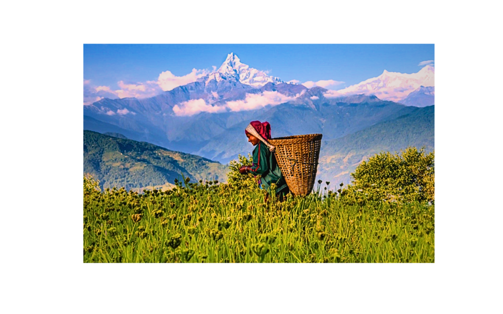 Day:3
From: $299USD/PERSON
Best Season: March,Oct.